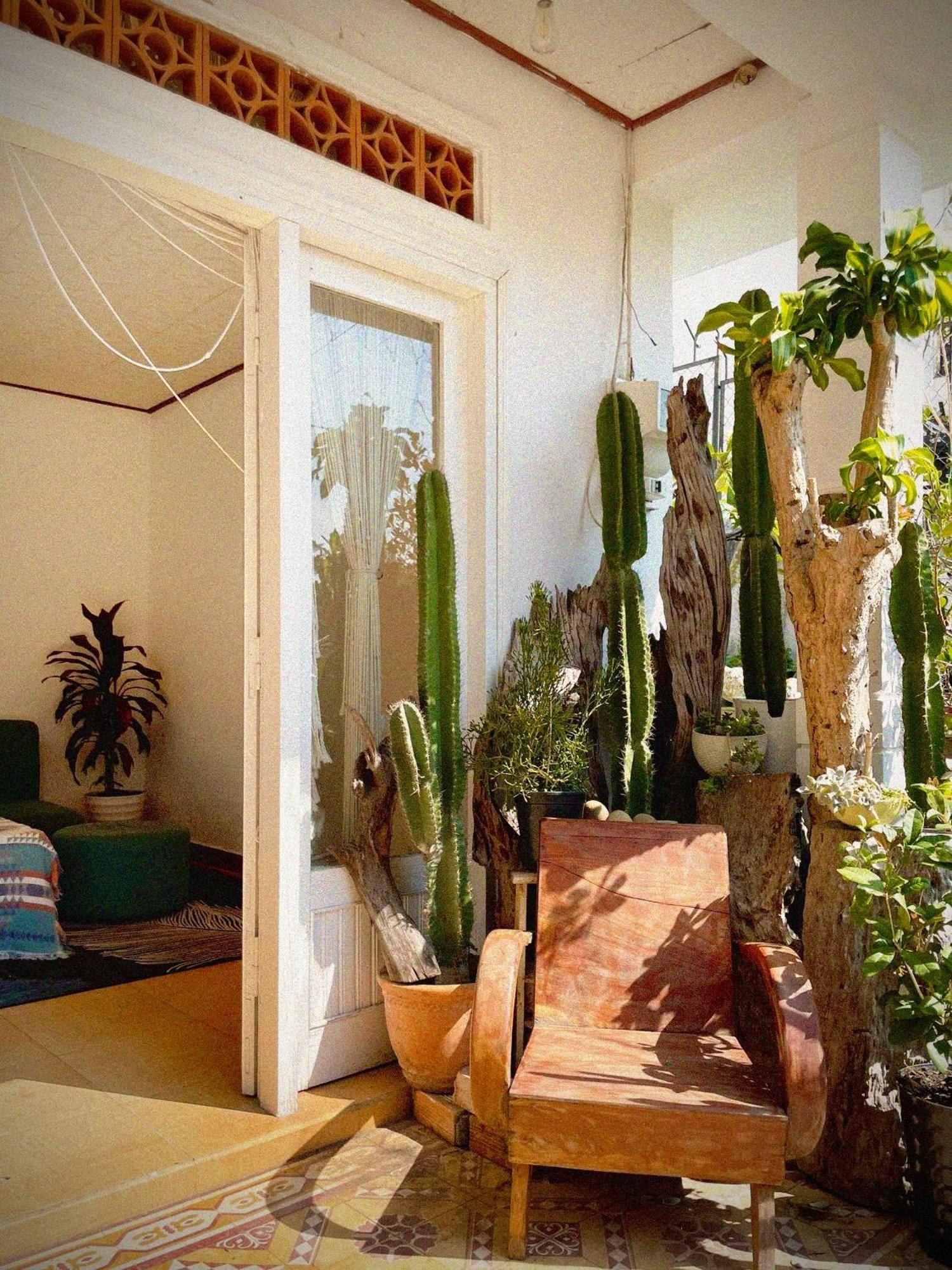 Hat De Homestay دالات المظهر الخارجي الصورة
