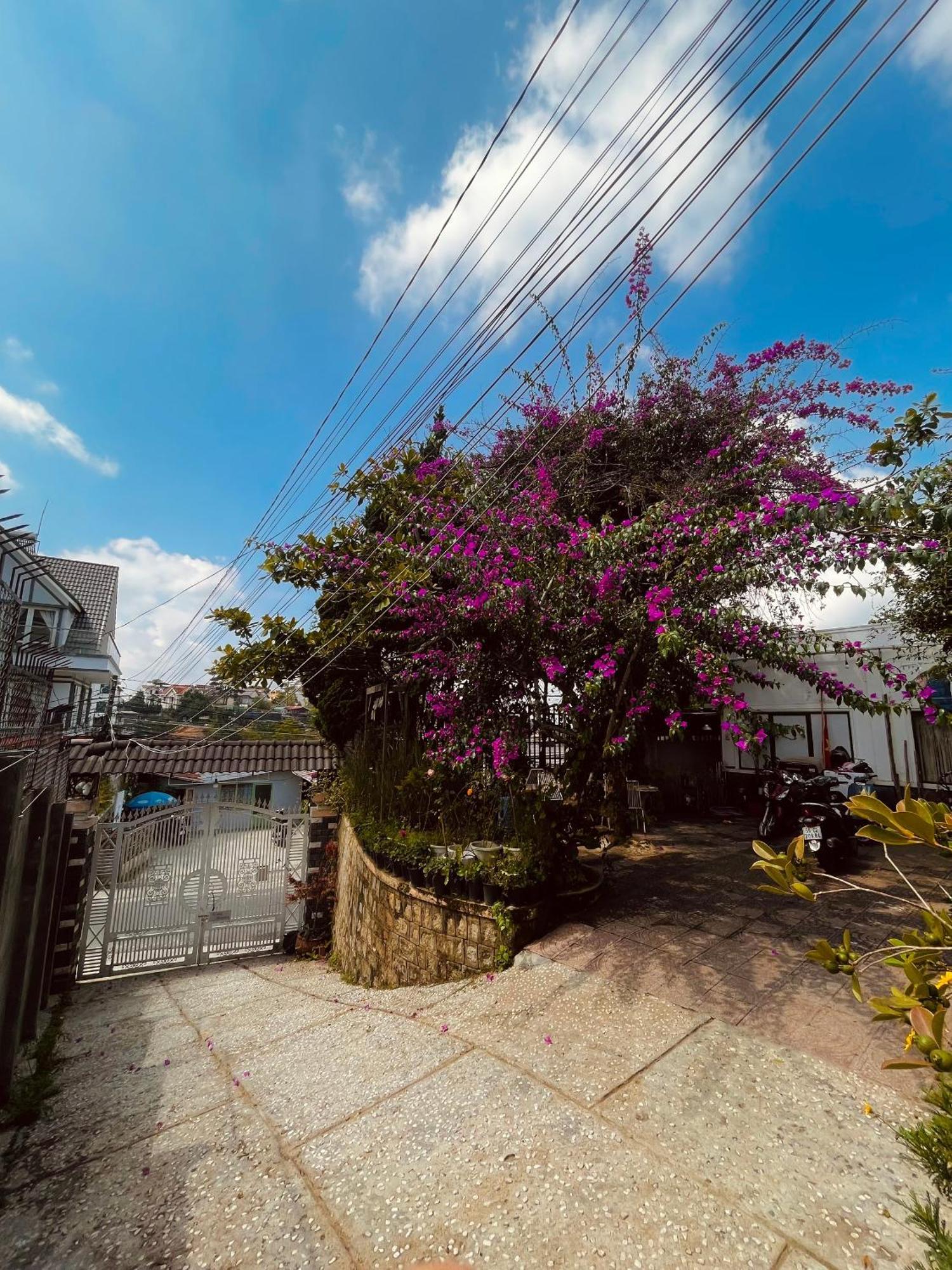 Hat De Homestay دالات المظهر الخارجي الصورة