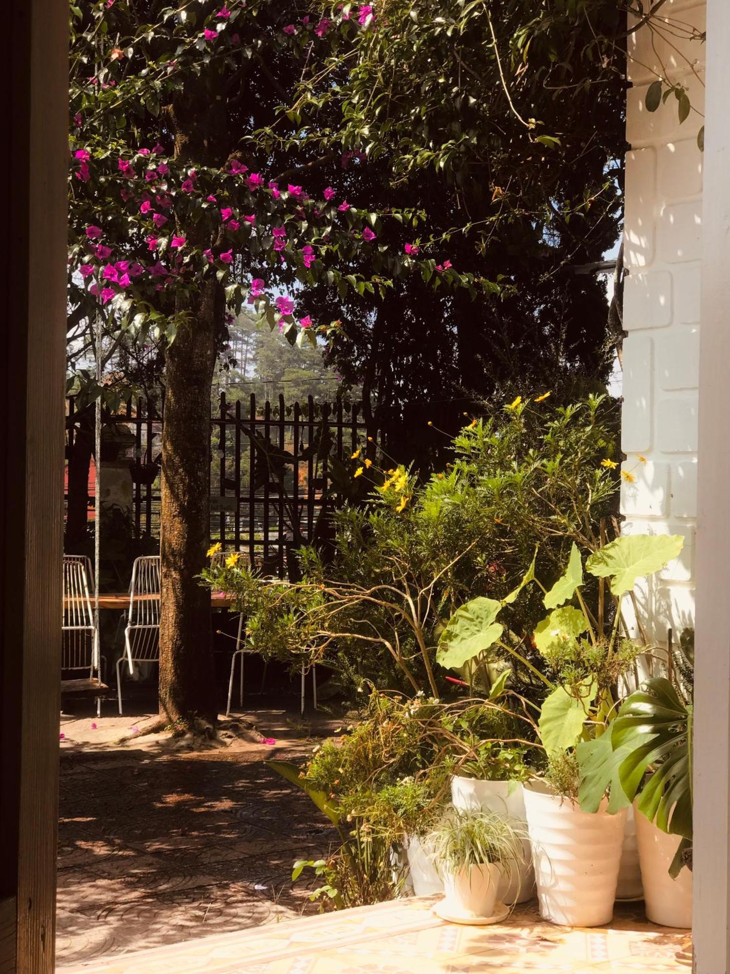 Hat De Homestay دالات المظهر الخارجي الصورة