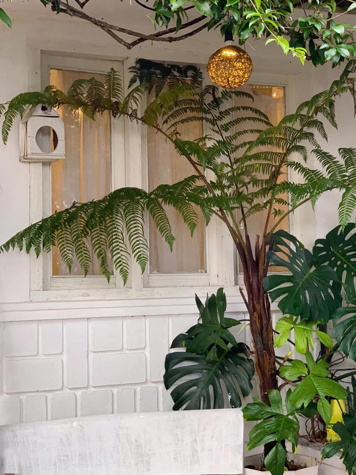 Hat De Homestay دالات المظهر الخارجي الصورة