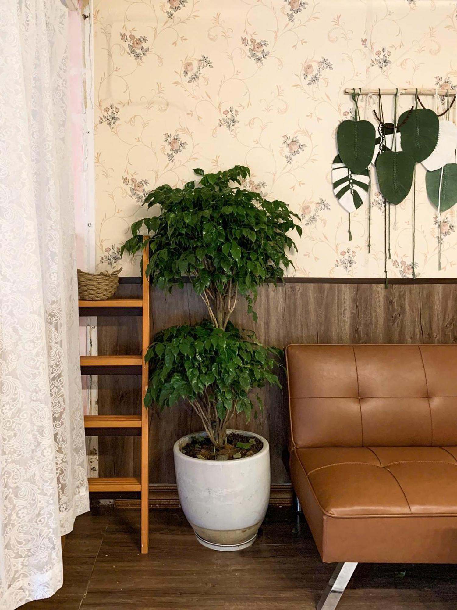 Hat De Homestay دالات المظهر الخارجي الصورة
